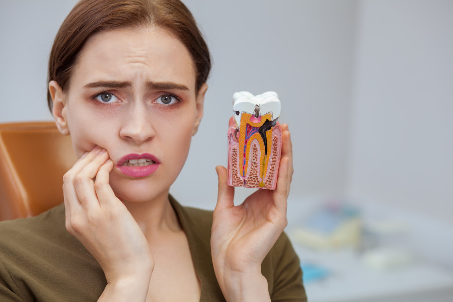 Woman holding a diagram of a tooth